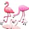 Flamingo Stickers by Recollections™
